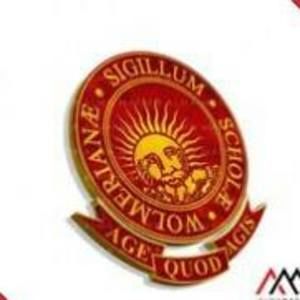 Meet your Posher, Wayne